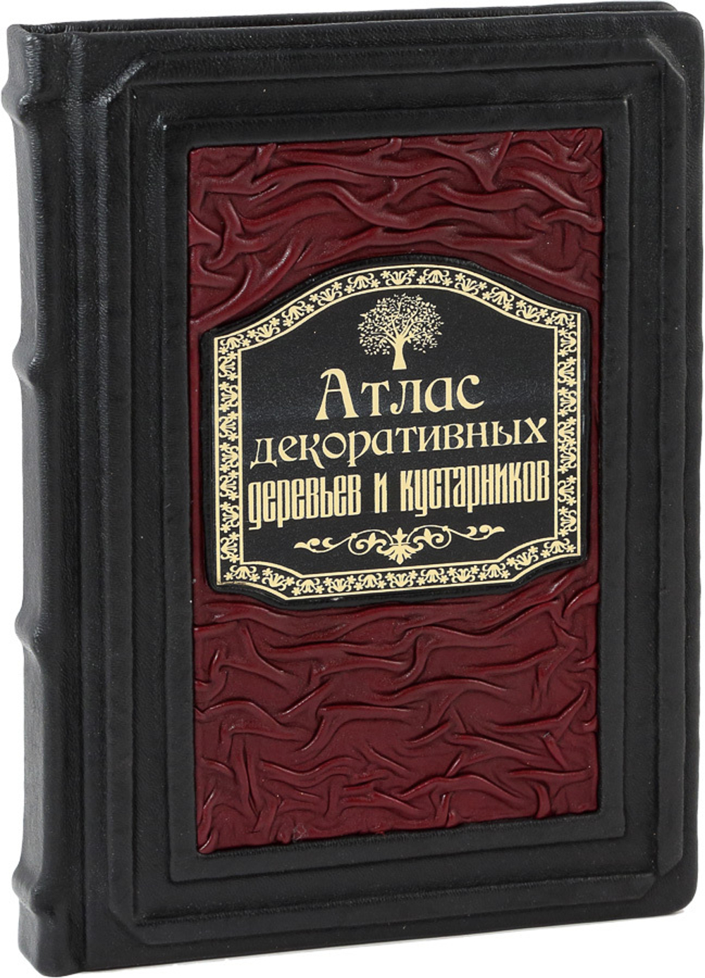 Атлас декоративных деревьев и кустарников