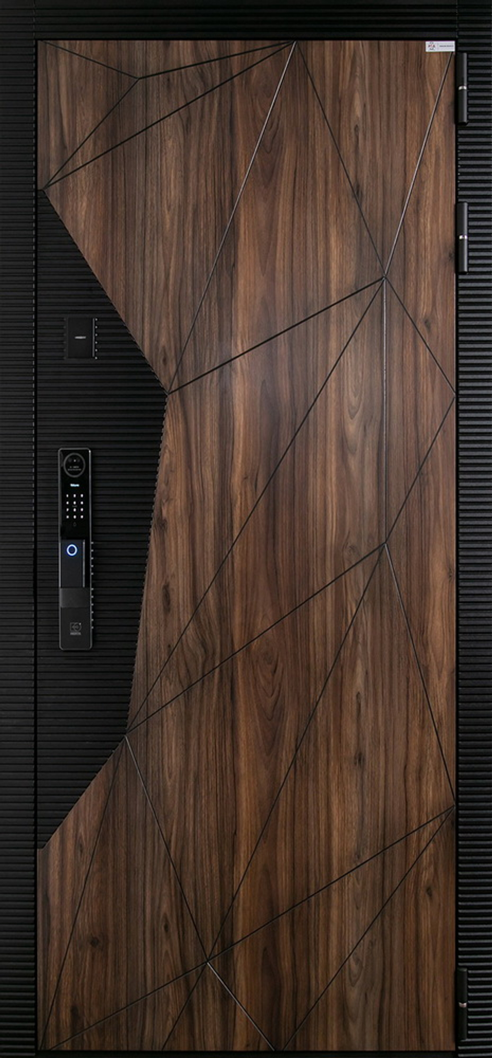 Стальная дверь "Сапсан" (биометрический замок Y12)