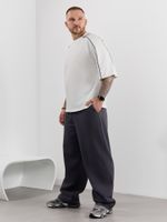 Брюки мужские Интер-2 Виотекс ГРАФИТОВЫЙ