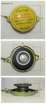 Радиатор охлаждения Ricardo R4105ZLDS1; TDK 66 4LT (с интеркулером)/Radiator