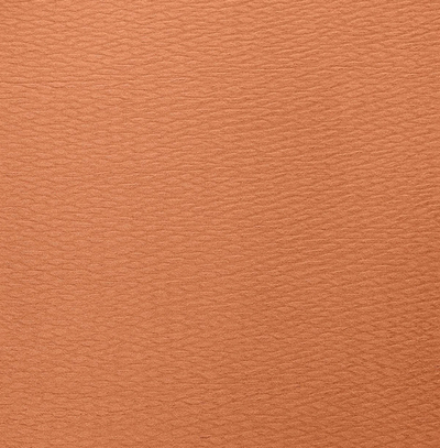 Ткань Trendsetter Jorn 1318020D-24