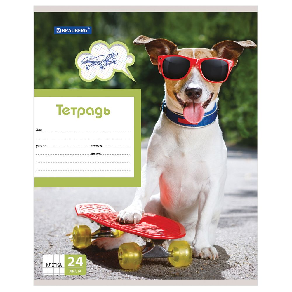 Тетрадь 24 л. BRAUBERG, клетка, обложка картон, MY BEST FRIEND, 403007, 5шт