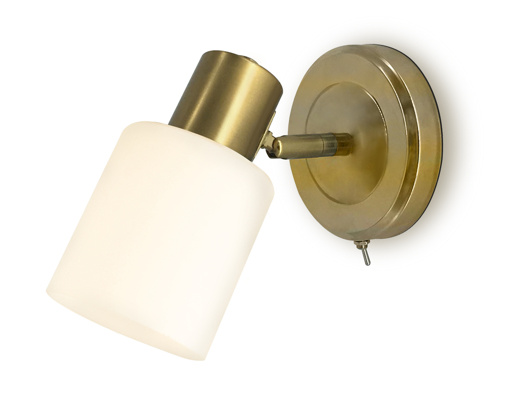 Накладной спот с выключателем TR3967 BS/FR латунь/белый матовый  E27 max 40W 140*80*194