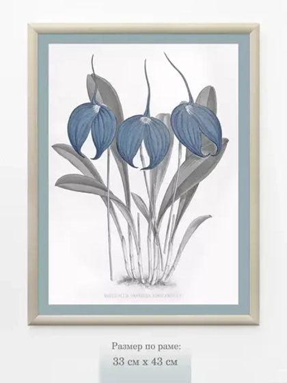 Картина на стену интерьерная на холсте 33*43 см