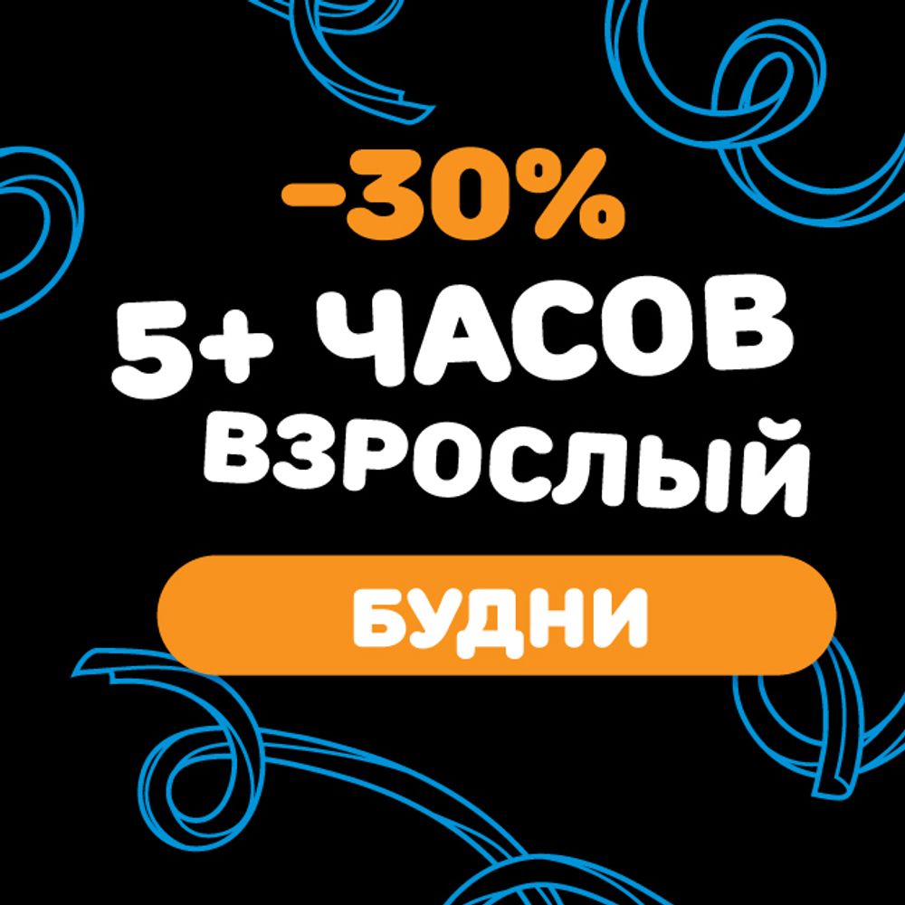 Взрослый билет на тариф &quot;5+ часов&quot; (будние дни)