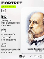 Портрет для школы в кабинет литературы и русского языка "Некрасов Николай Алексеевич", стенд школьный для класса, для оформления классного уголка, 40х30 см, Silver Plane x Айдентика Технолоджи
