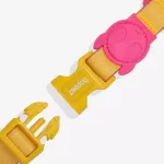 Ошейник NEOPRO LYRA Zee.Dog