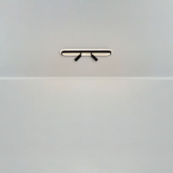 Потолочный светильник Freya FR6088CL-L48B