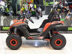 Багги SCANMOTO COBRA красный (электро)