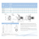 Насосный агрегат моноблочный фланцевый SAER IR 40-125SC