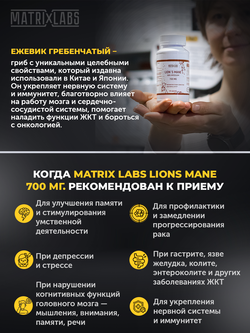 Matrix Labs Lions Mane Ежовик Гребенчатый (Мицелий) 700 мг. (90 капс.)