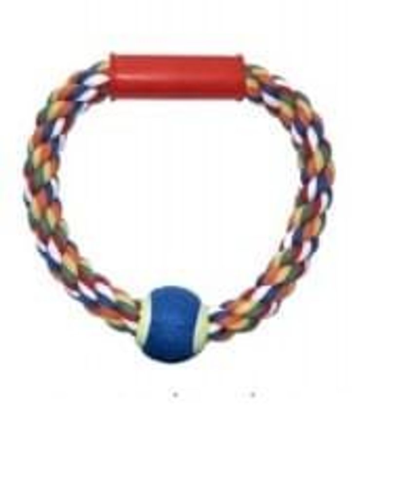 ИГРУШКА "АПОРТ КОЛЬЦО С МЯЧОМ" R1046 (К-Й)