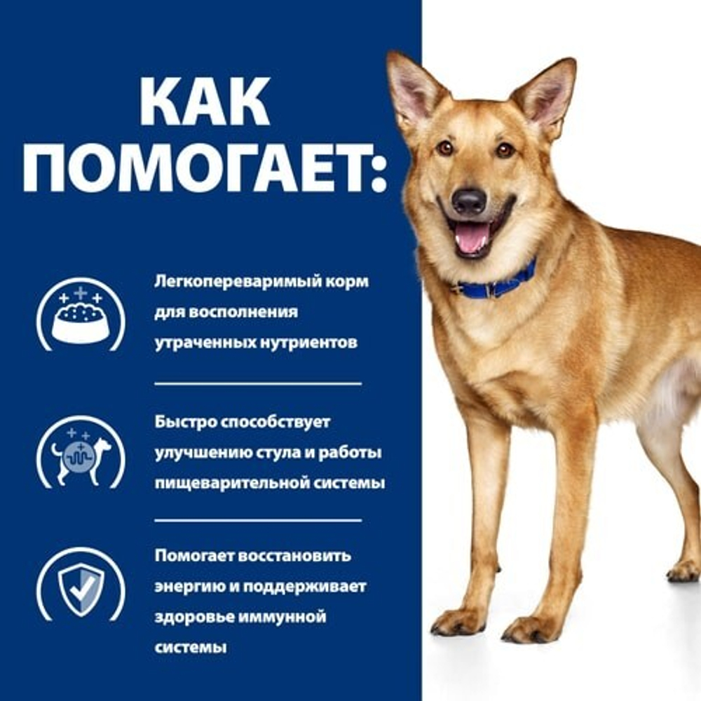 Hill's Canine i/d - диета для собак с проблемами ЖКТ