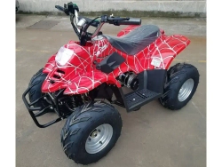 Электроквадроцикл Green Camel Гоби K50 (36V 800W R7 Цепной привод)