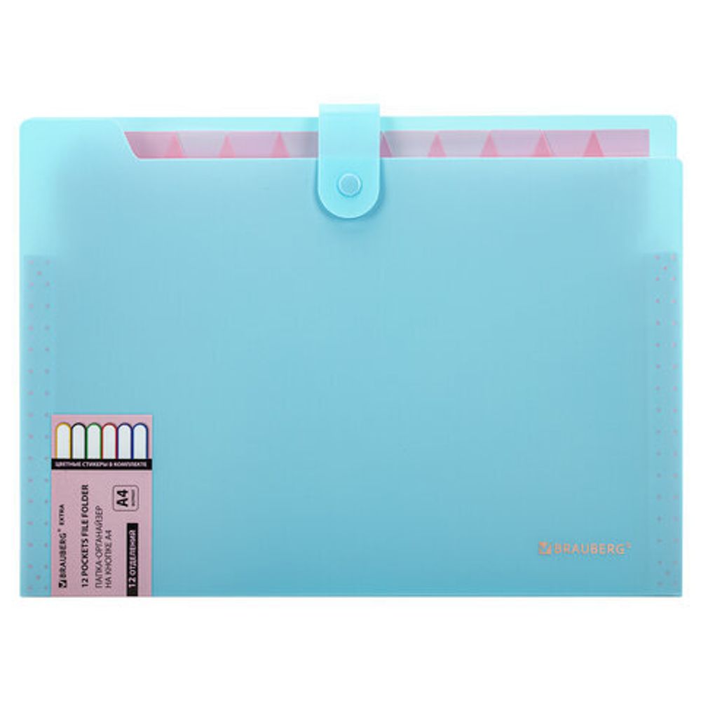 Папка-органайзер на кнопке 12 отделений, BRAUBERG "Extra", А4, голубая с розовым, 271932