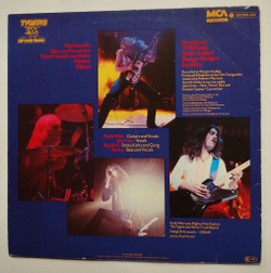 Винтажная виниловая пластинка LP Tygers Of Pan Tang Wild Cat (Germany 1980)