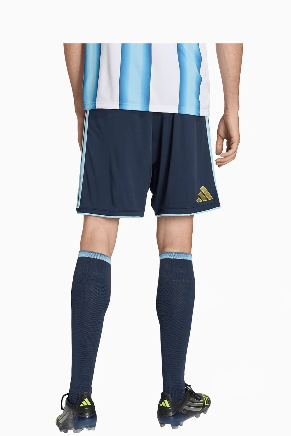 Шорты adidas Аргентина 2026 Home - темно-синий