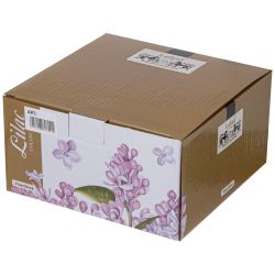 ЧАЙНАЯ ПАРА LEFARD "LILAC" 250 МЛ (КОР=24НАБ.)