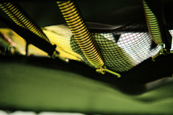 Hasttings Hero 9x14FT