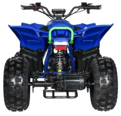 Электроквадроцикл MOTAX E-PENTORA 1500W