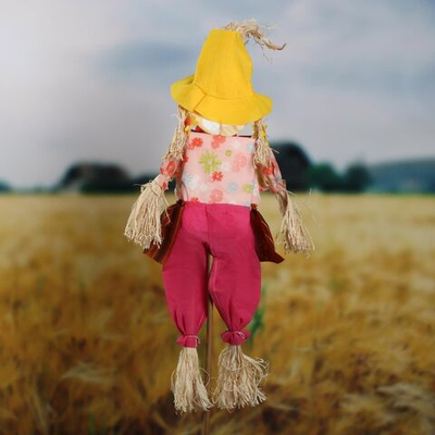 Огородное пугало (выста 90 см)