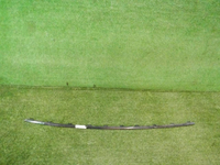 DSCN2011.jpg