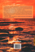 Янтарь солнечного берега