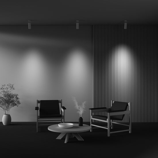 Потолочный светильник Technical C055CL-L20W2.7-3-4K-M-W