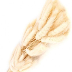 Сухоцветы ЛАГУРУС 65см 34гр СВЕТЛЫЙ №2