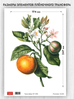 Трансфер для декупажа переводной рисунок для поверхностей 095