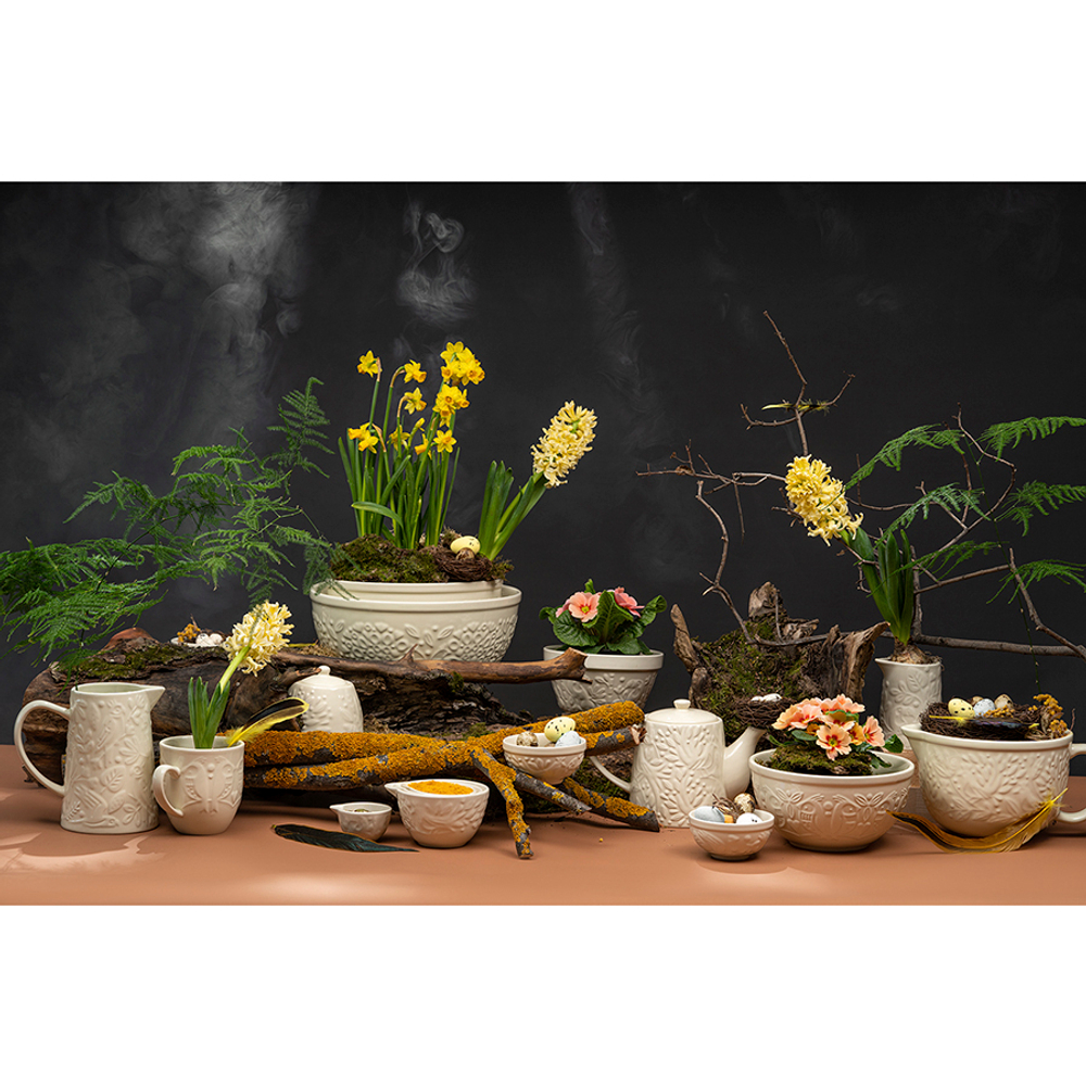 Сахарница birds of paradise, 400 мл, кремовая