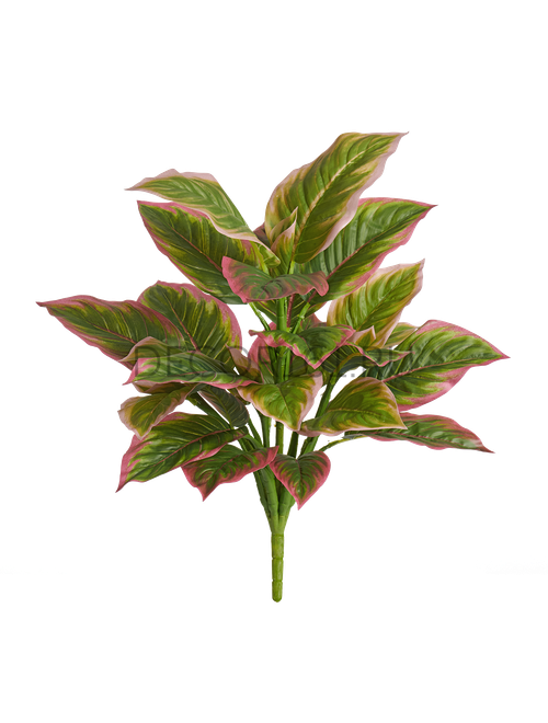 Диффенбахия куст нежно-зелёно-розовый в-52 см, д-40 см (Sensitive Botanic) 6/60 20.1159PK