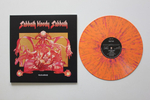 Black Sabbath / The Ten Year War (Coloured Vinyl)(8LP+2x7" Vinyl Single+USB)