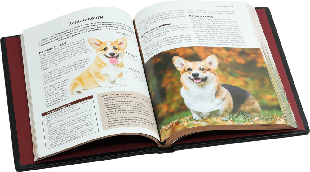 Все породы собак