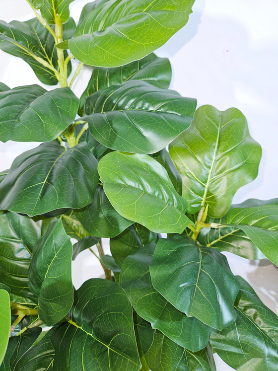 Искусственное растение Фикус Лирата зеленый в кашпо