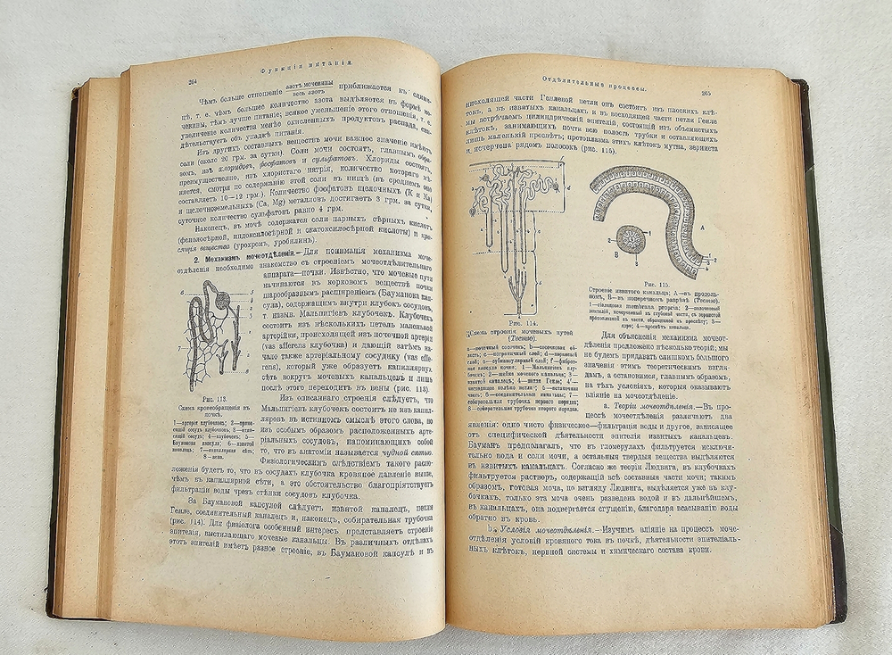 "Учебник физиологии". Професор Е.Гедон. 1911г.