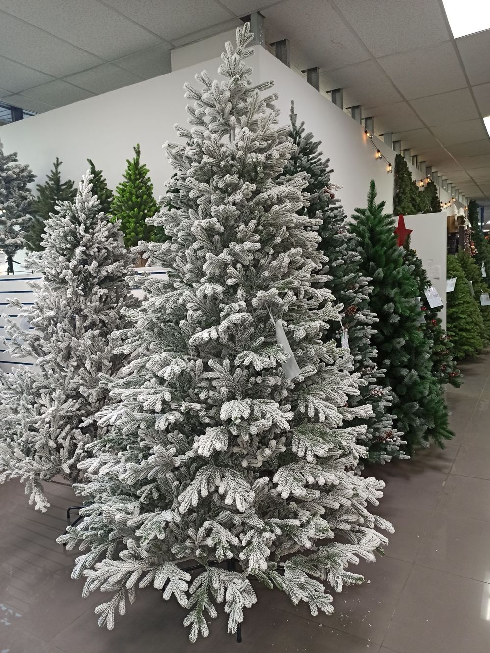 ели заснеженная "Александрийская" литая хвоя