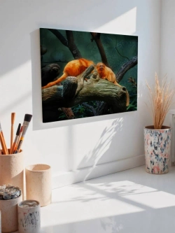 Картина на стену 40 X 50 Обезьяны