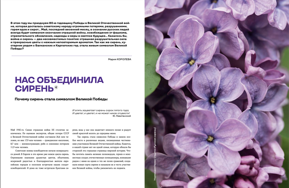 Цветоводство ВЕСНА 2025