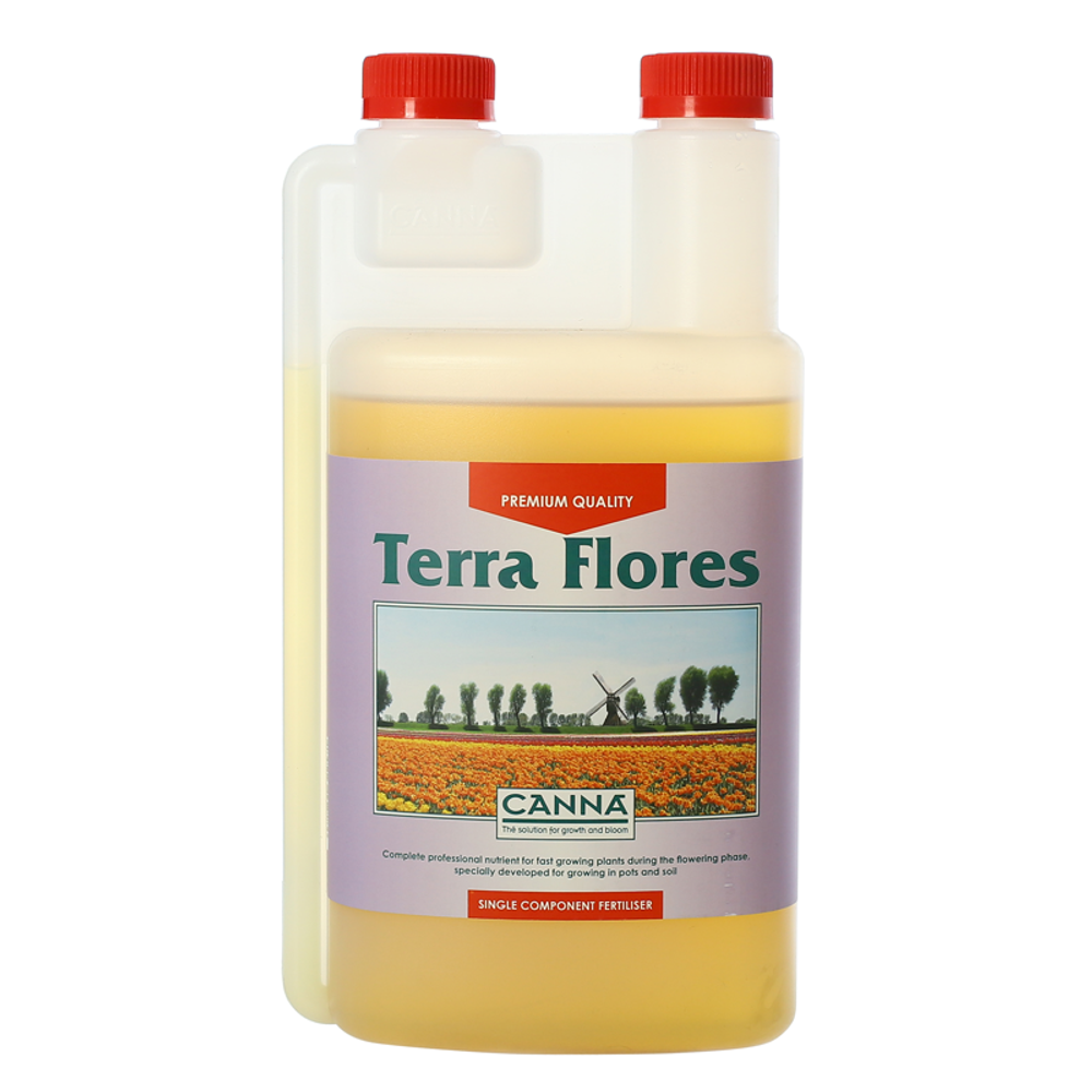 Canna Terra Flores