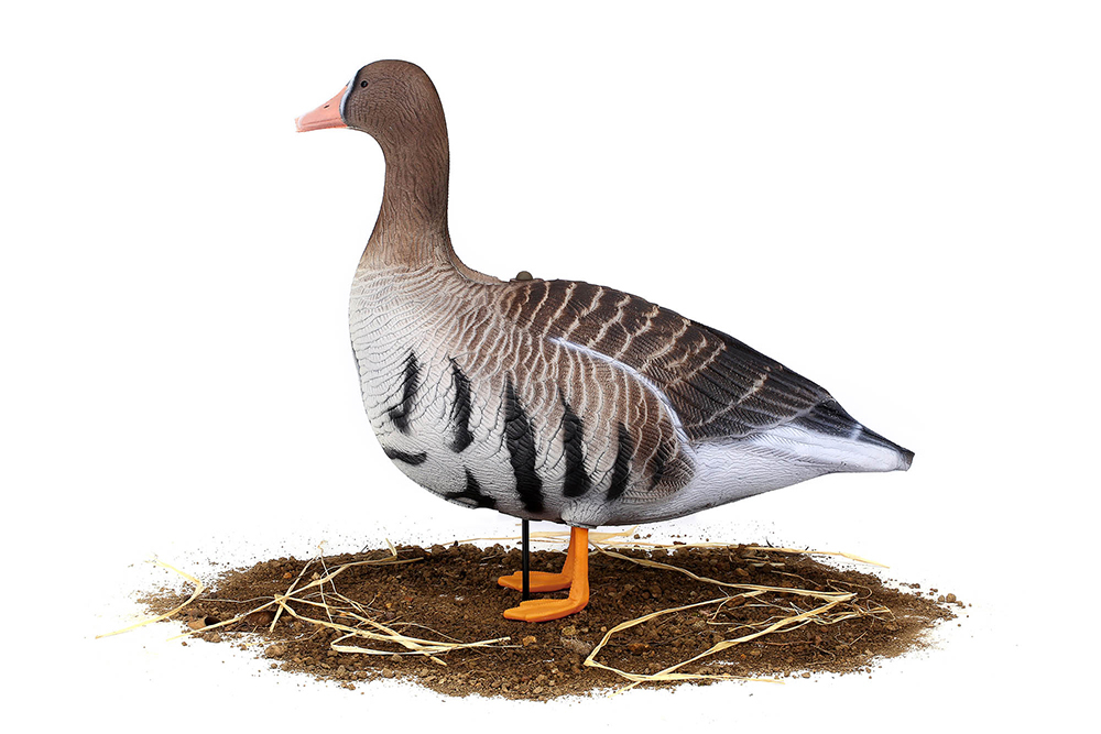 Белолобый гусь S-XPE 3D мод. B622-3D