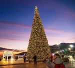 Светодинамическая елка каркасная - встроенная гирлянда: теплый свет - "Уральская" 29 м