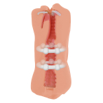 Двойной мастурбатор 19см Lola Games Satisfaction Morning Angel 2101-03Lola