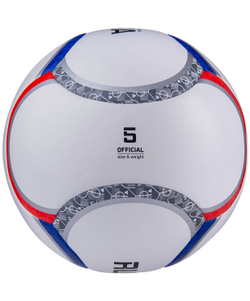 Мяч футбольный Flagball Russia №5, белый