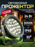 Прожектор для архитектурного и ландшафтного освещения 220V 24W 3000К теплый белый, угол 30 градусов