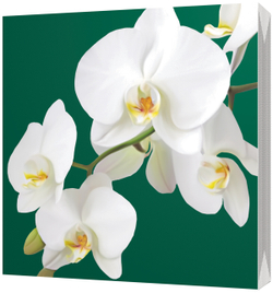 BULGAREE GREEN Салфетки 33*33см"Орхидея" 3-сл 20шт/уп