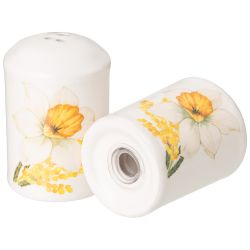 НАБОР ДЛЯ СПЕЦИЙ AGNESS "SUNDAY" 2ПР. 4,5*6,5 СМ (КОР=60НАБ.)