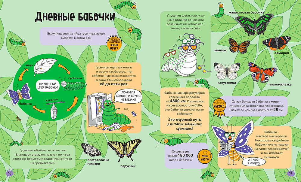Насекомые и не только