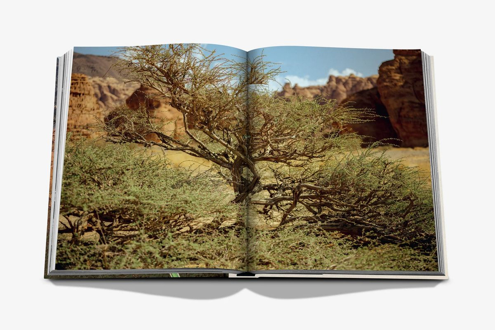 Книга Assouline AlUla Flora в твердом переплете