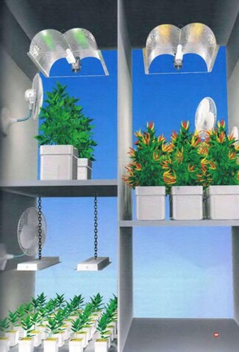 Главы из книги Ульяма Тексье «Гидропоника для всех» "Гидропонная оранжерея"